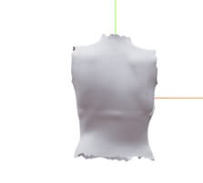 Autocropped mesh