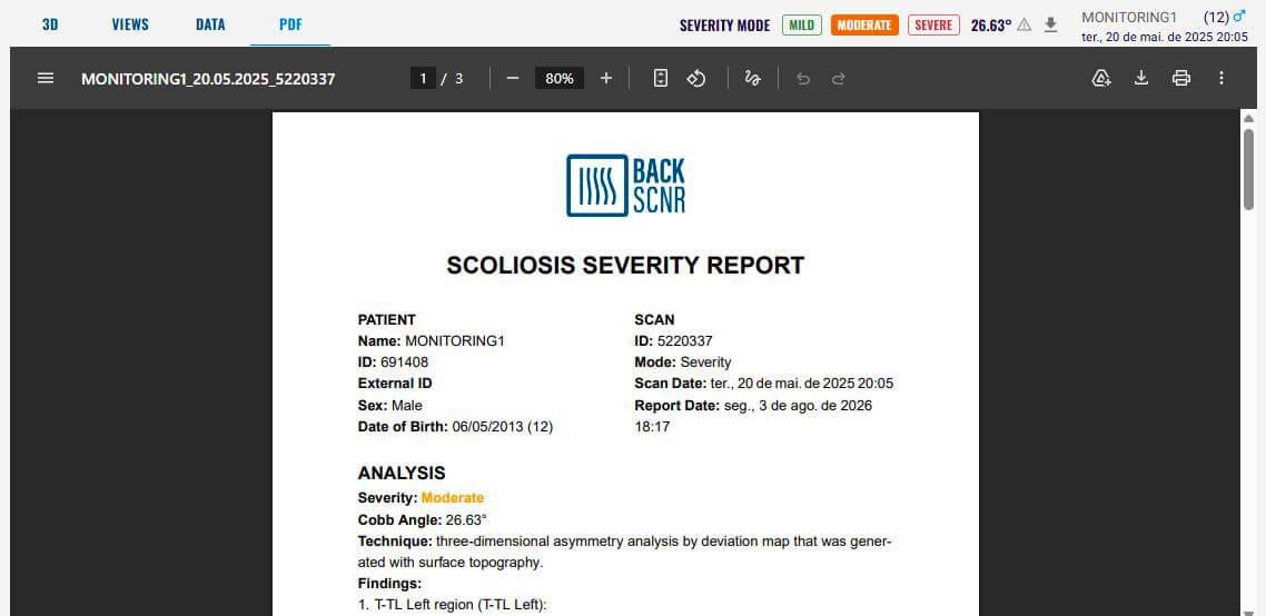 PDF Report